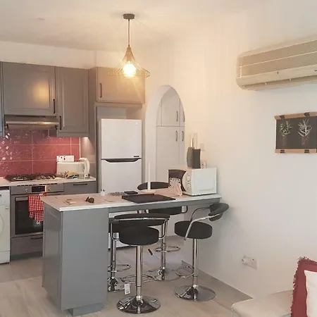 Comfort 103 Apartment